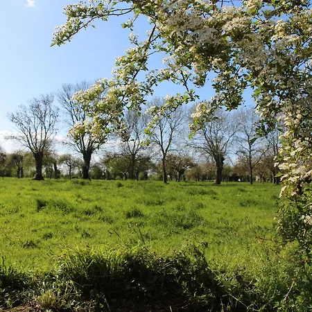 De L'epervier Tatil Evi